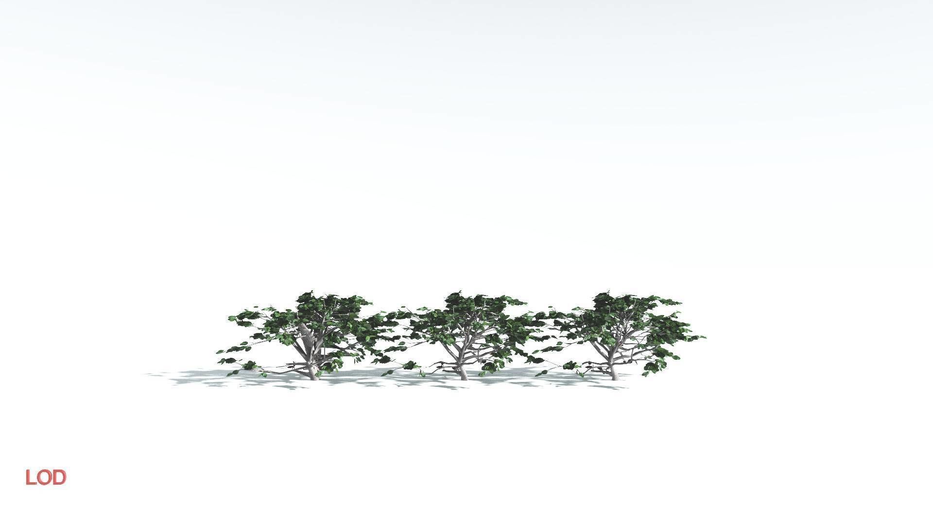 EVERYPlant Tree Heliotrope LowPoly 1 --14 Models-- Low-poly 3D model_4