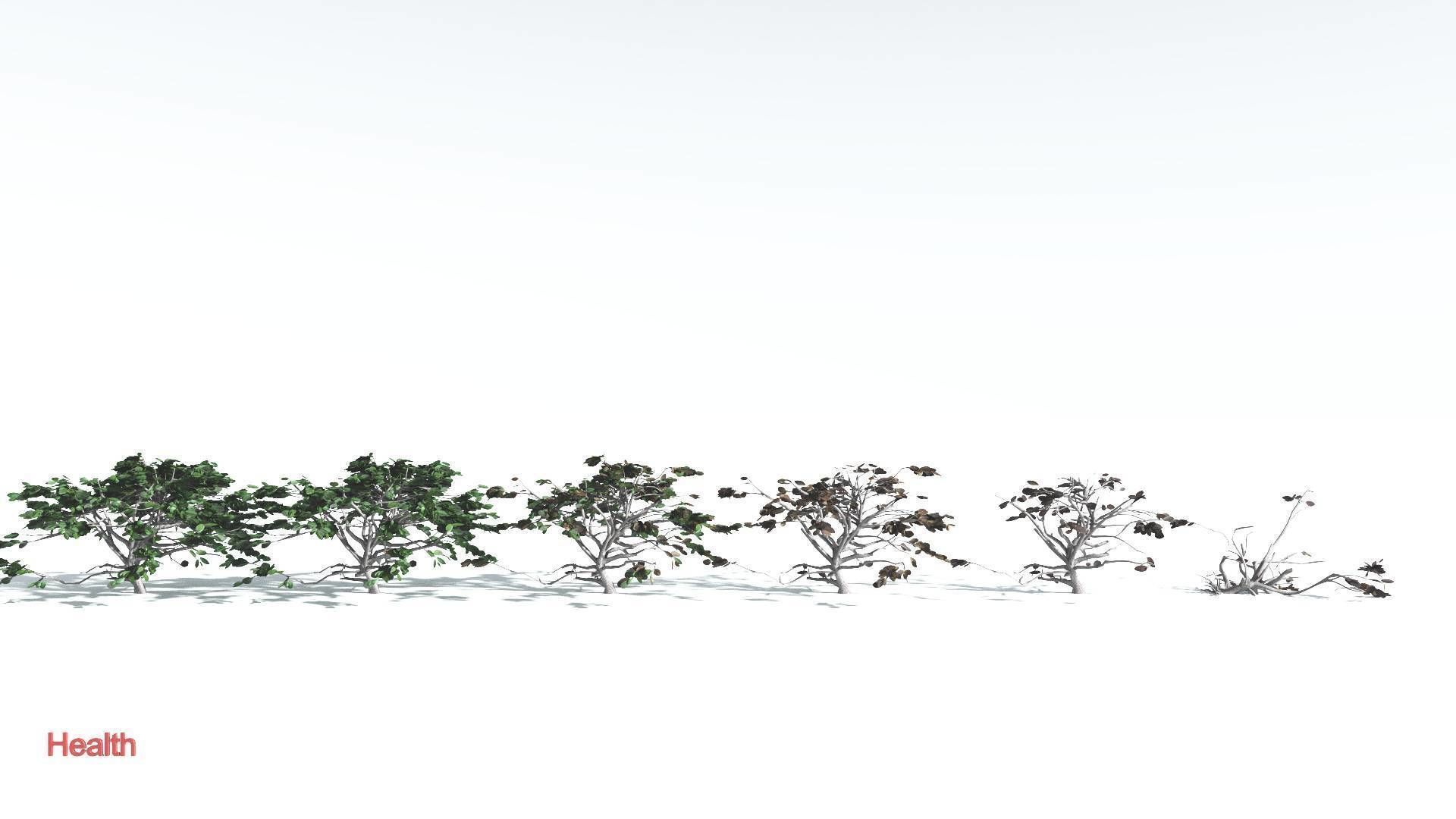 EVERYPlant Tree Heliotrope LowPoly 1 --14 Models-- Low-poly 3D model_2