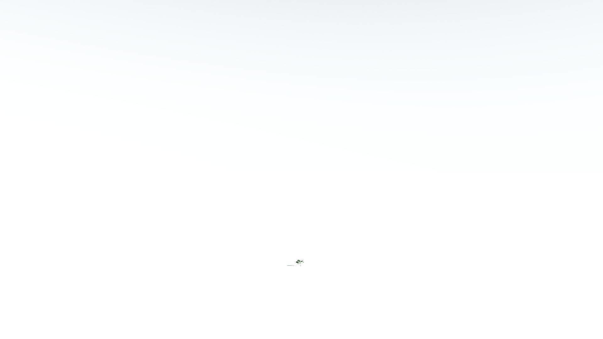 EVERYPlant Tree Heliotrope LowPoly 1 --14 Models-- Low-poly 3D model_27