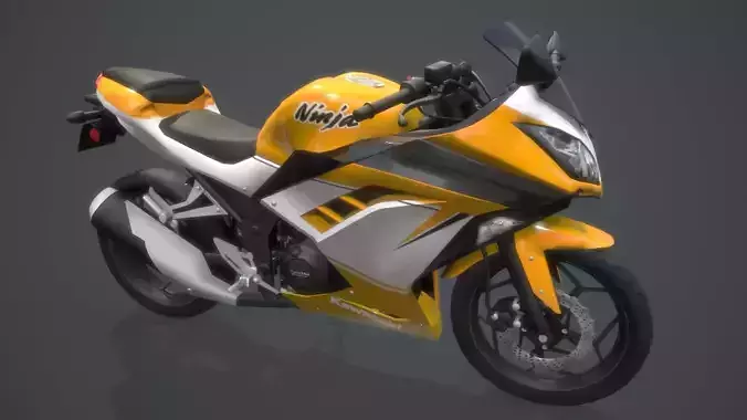 Kawasaki Ninja 300 motorcycle 