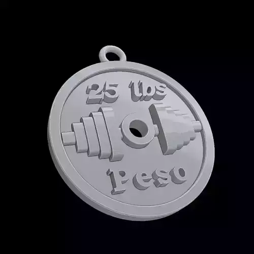 Dije Disco Pesa 3D print model