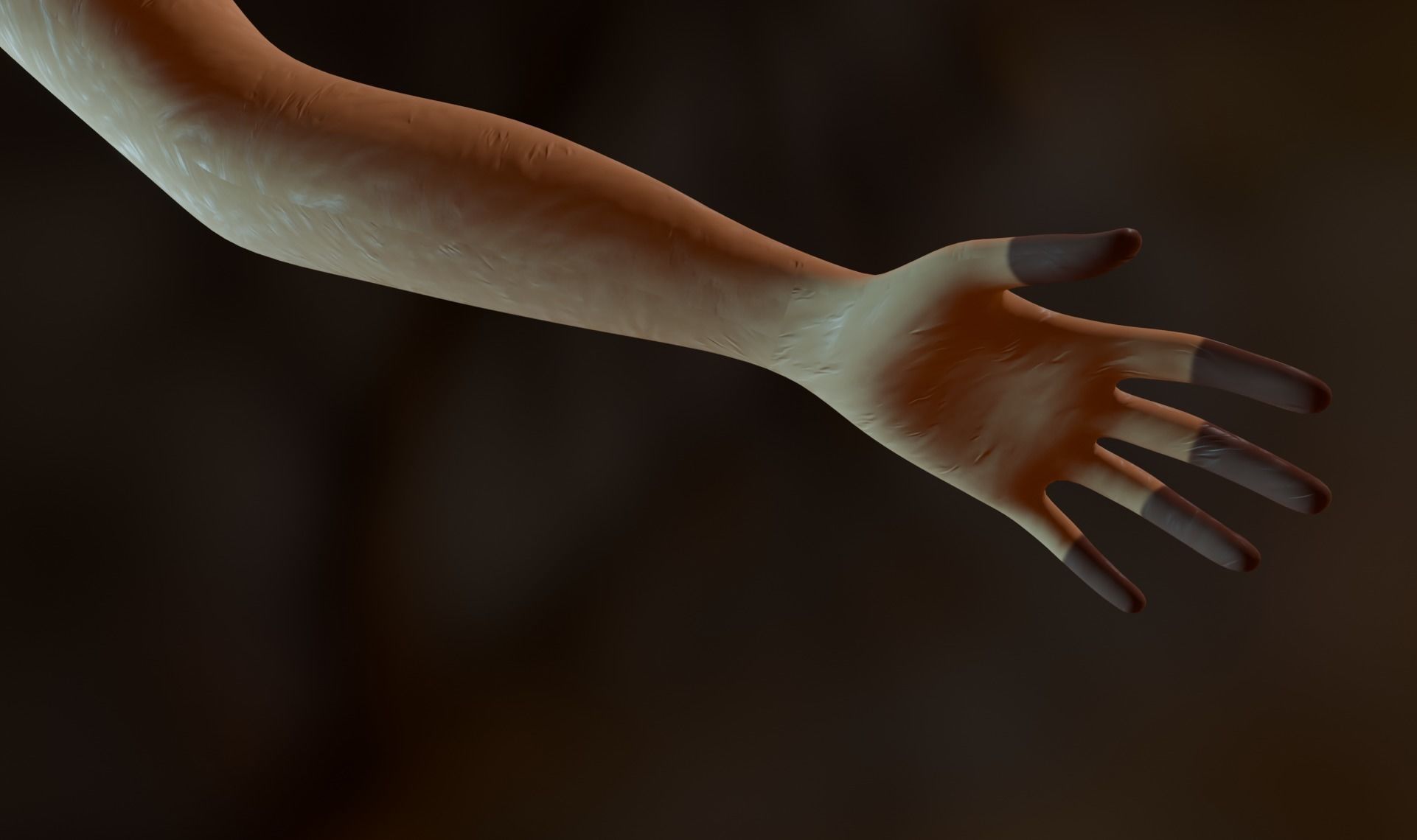 Nicole Anthro Deer Low-poly 3D model_12