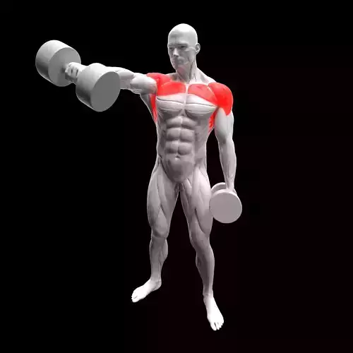 Dumbbell Front Raise 3D model