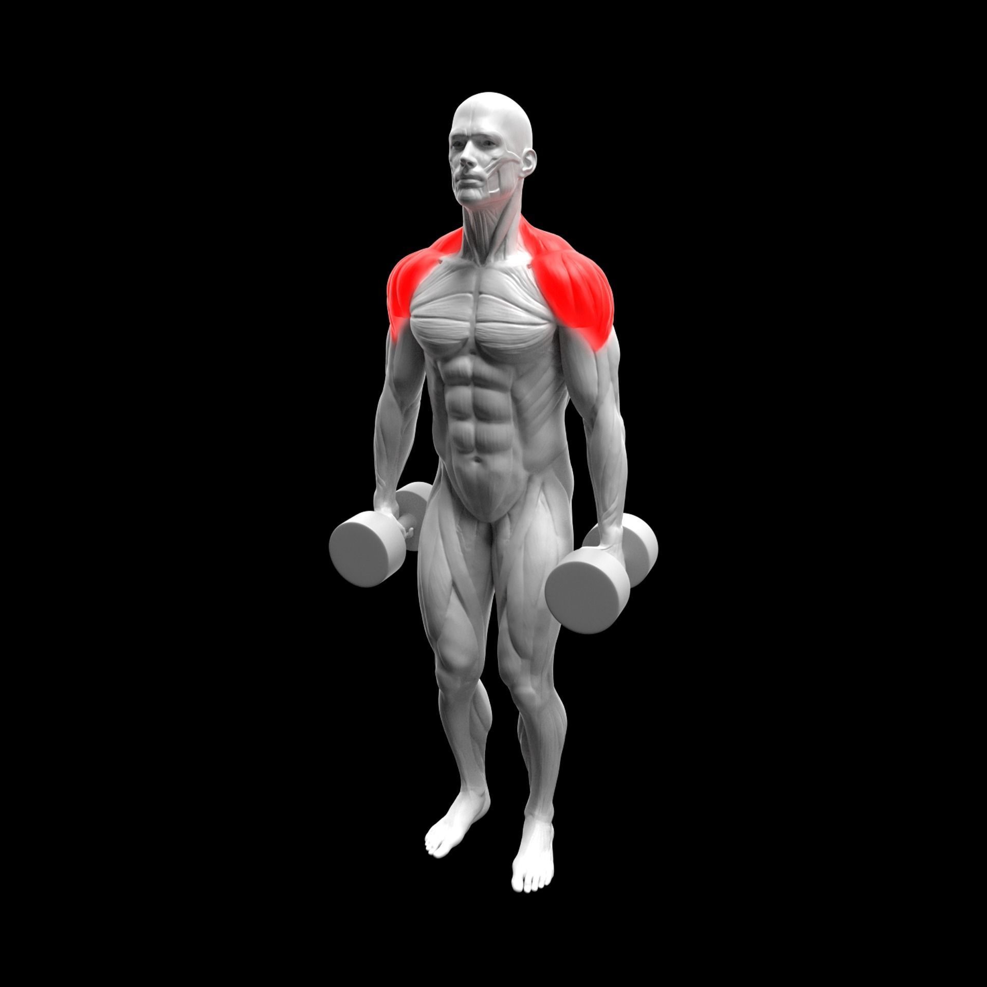 Dumbbell Lateral Raise 3D model_2