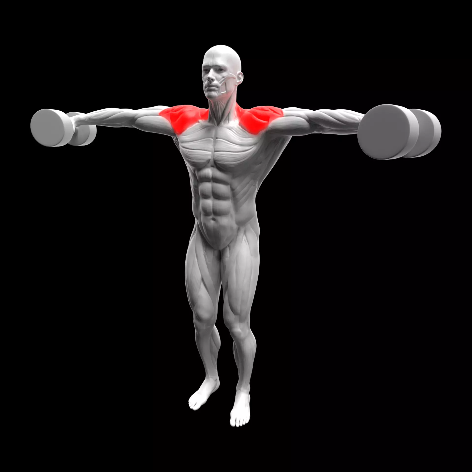Dumbbell Lateral Raise 3D model_0
