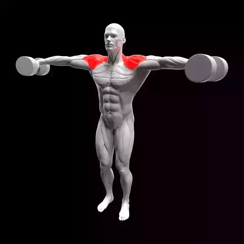 Dumbbell Lateral Raise 3D model
