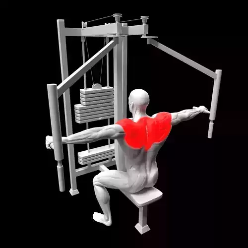 Rear Delt Fly Machine