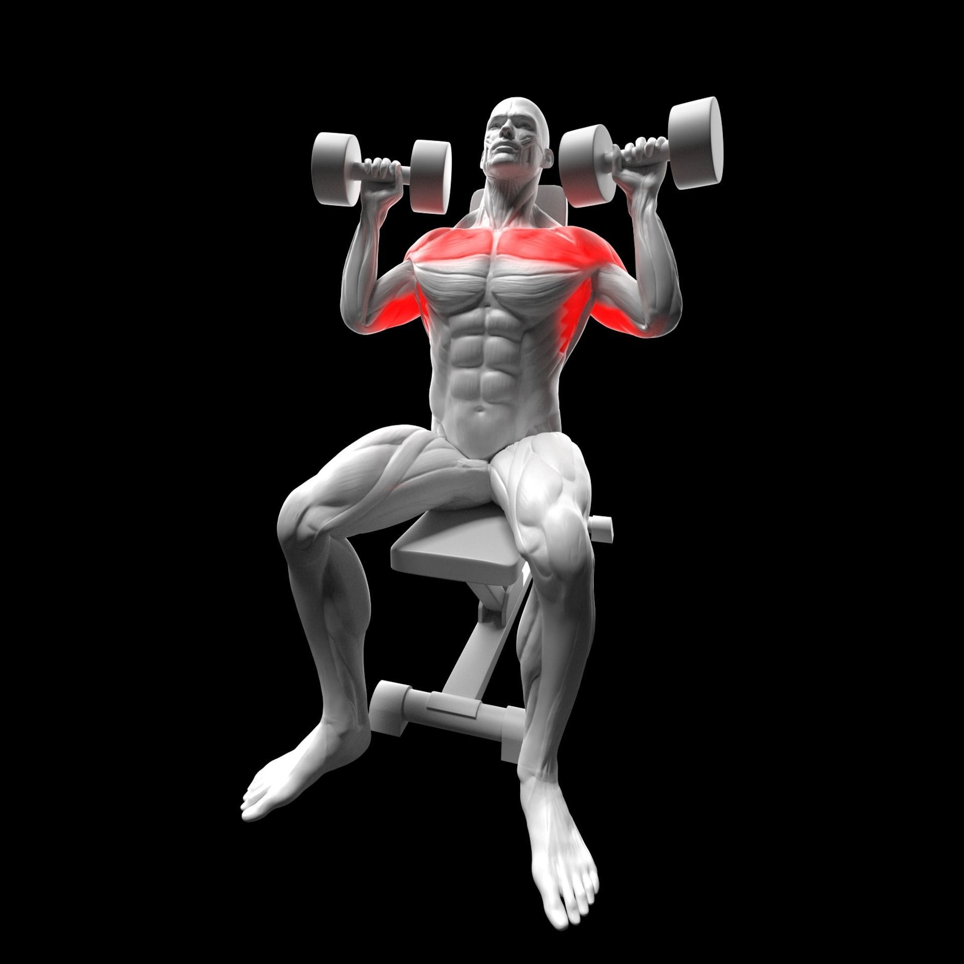 Dumbbell Shoulder Press 3D model_2