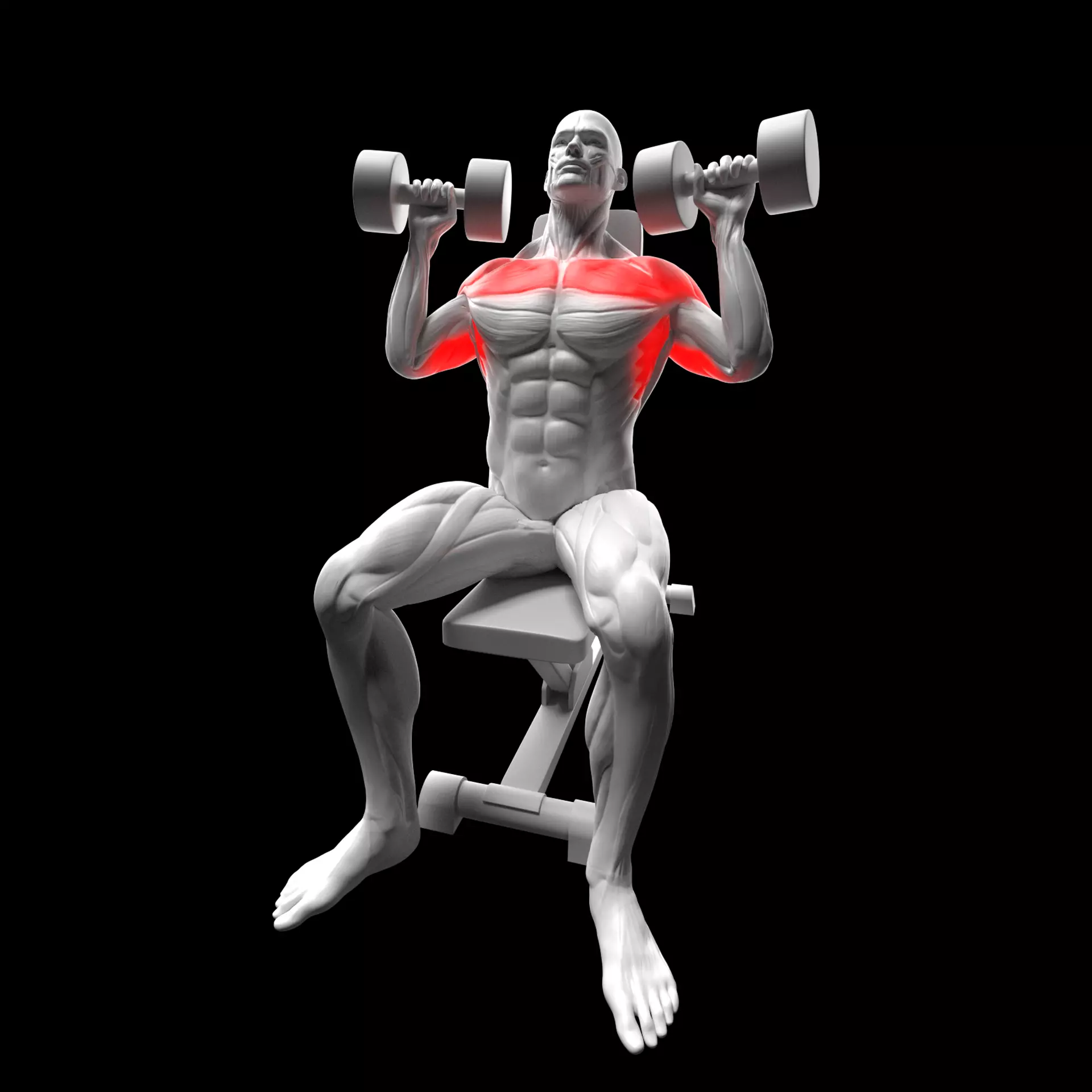 Dumbbell Shoulder Press 3D model_0