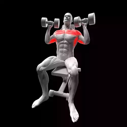 Dumbbell Shoulder Press 3D model