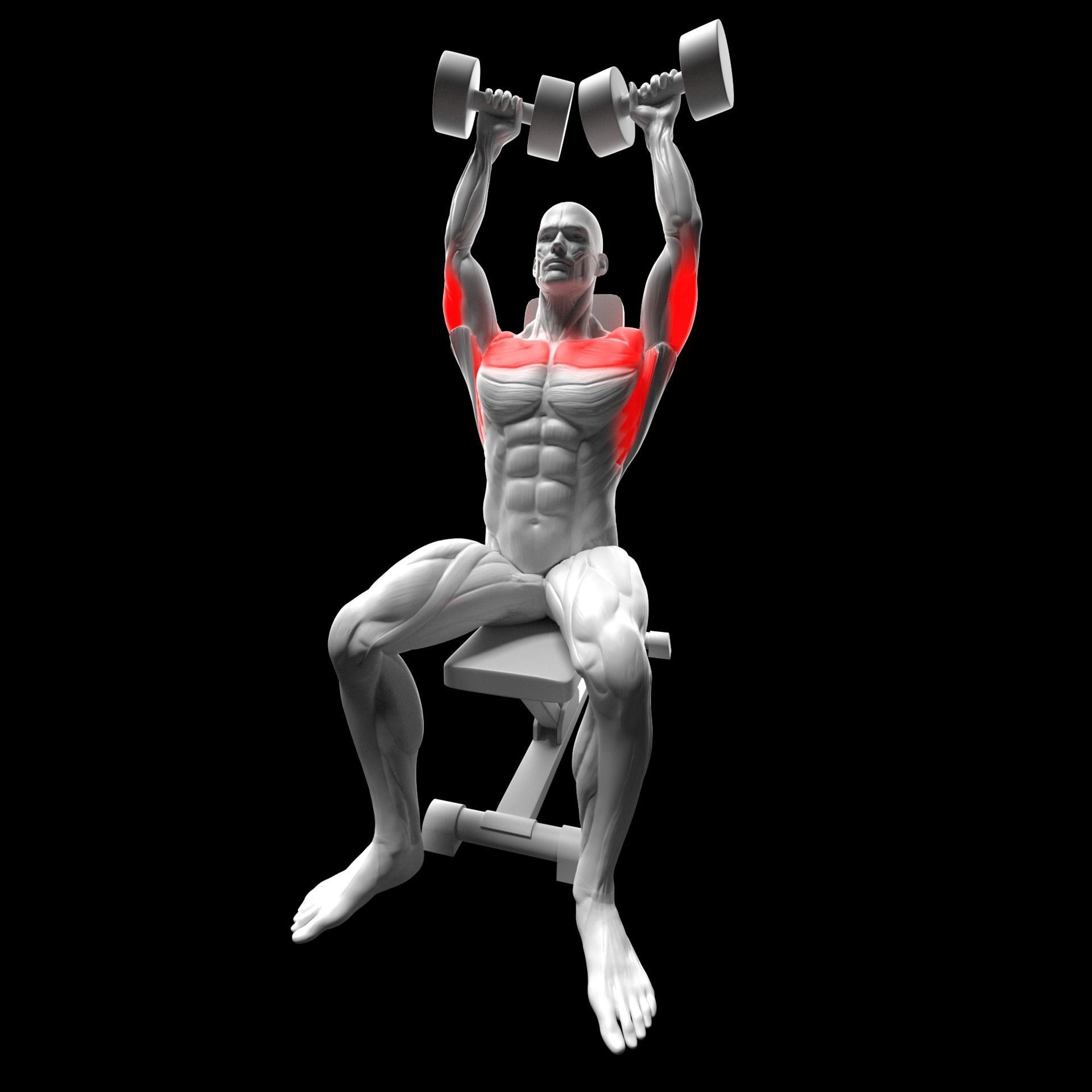Dumbbell Shoulder Press 3D model_3
