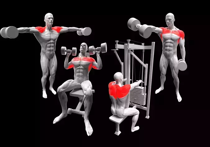 Shoulder Exercise Pack 3D model