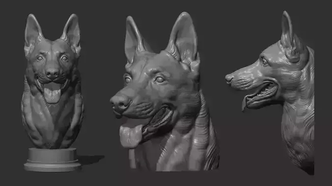 Belgian Shepherd Malinois bust 3D print model