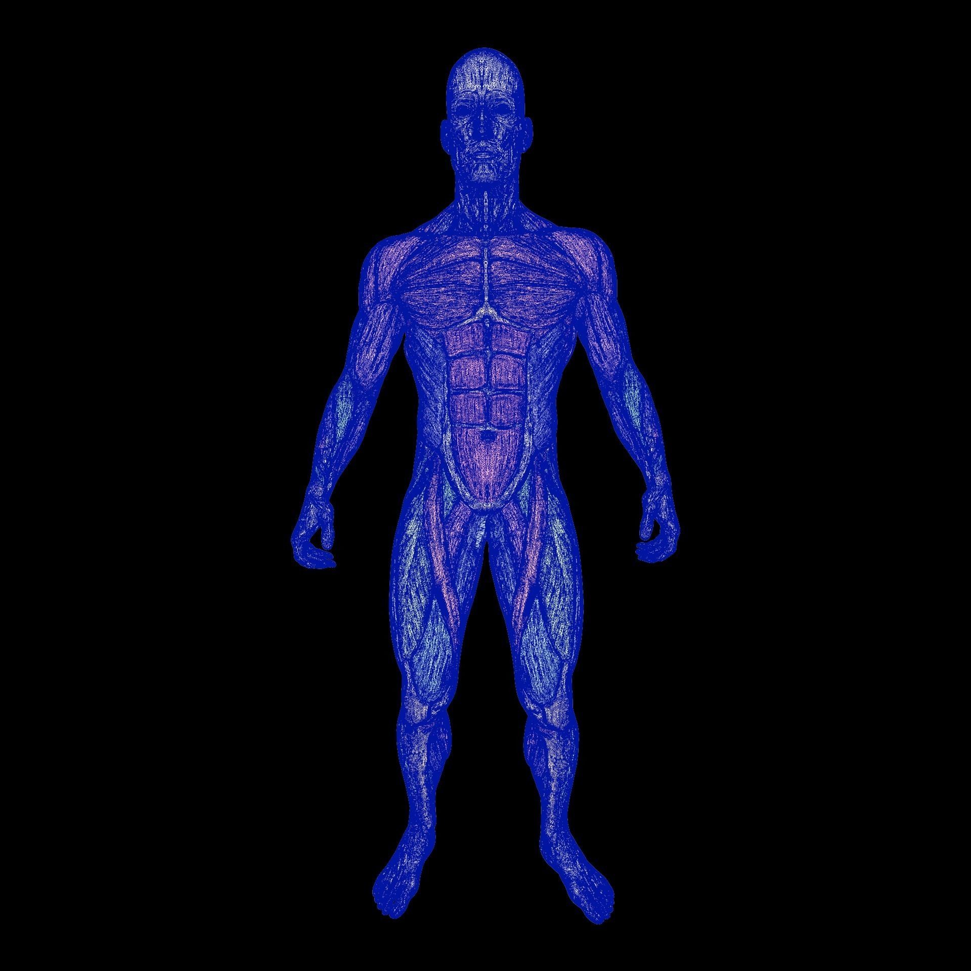 Bicycle Crunches 3D model_5