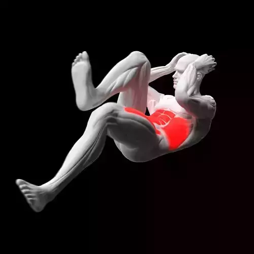 Bicycle Crunches 3D model