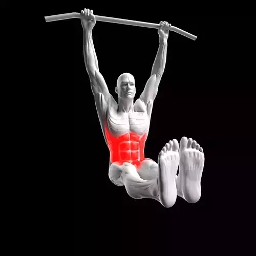 Hanging Leg Raises 3D model