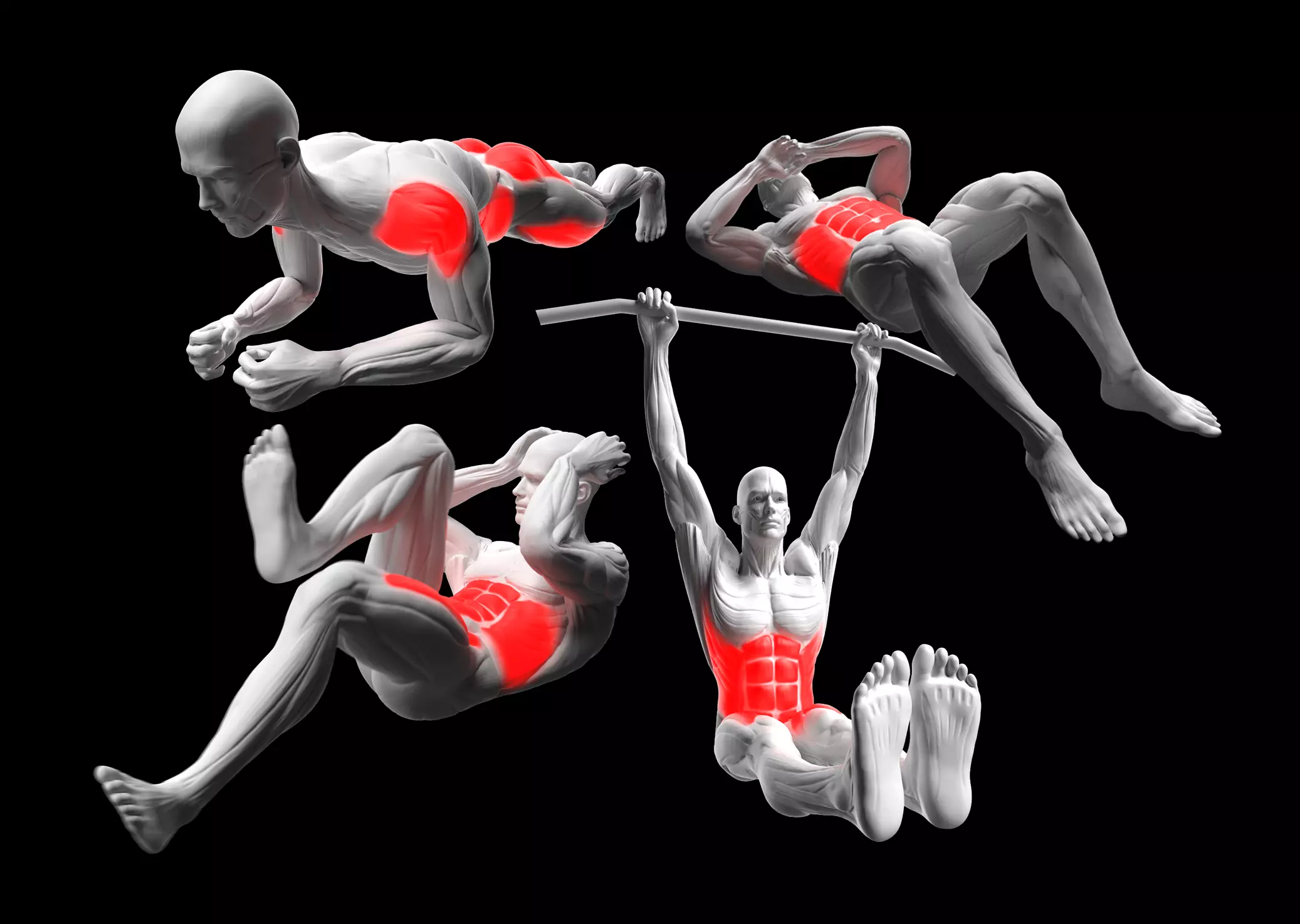 Abdominal Exercises Pack 3D model