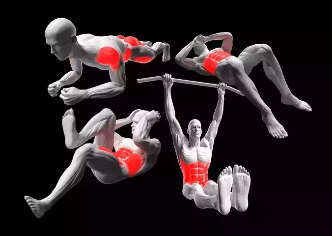 Abdominal Exercises Pack 3D model