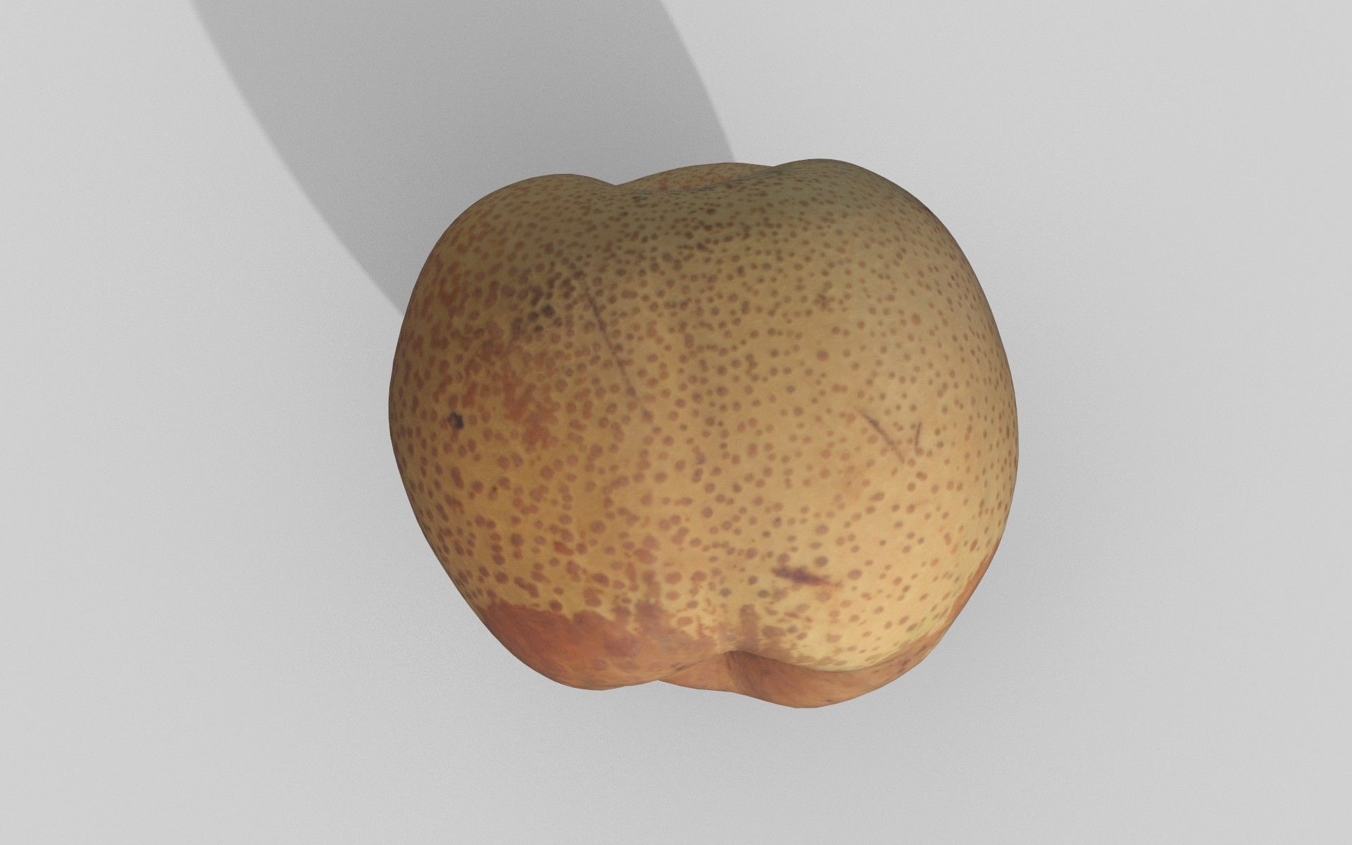 Realistic style fruit pear model 3D model_3