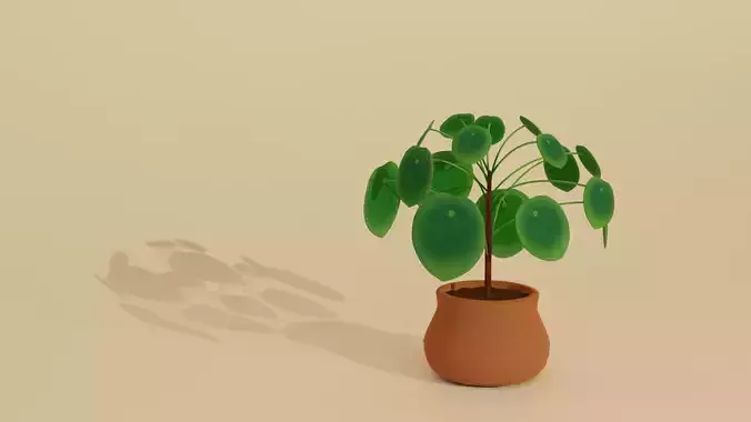 Stylized Pilea Peperomoides Chinese Money Plant