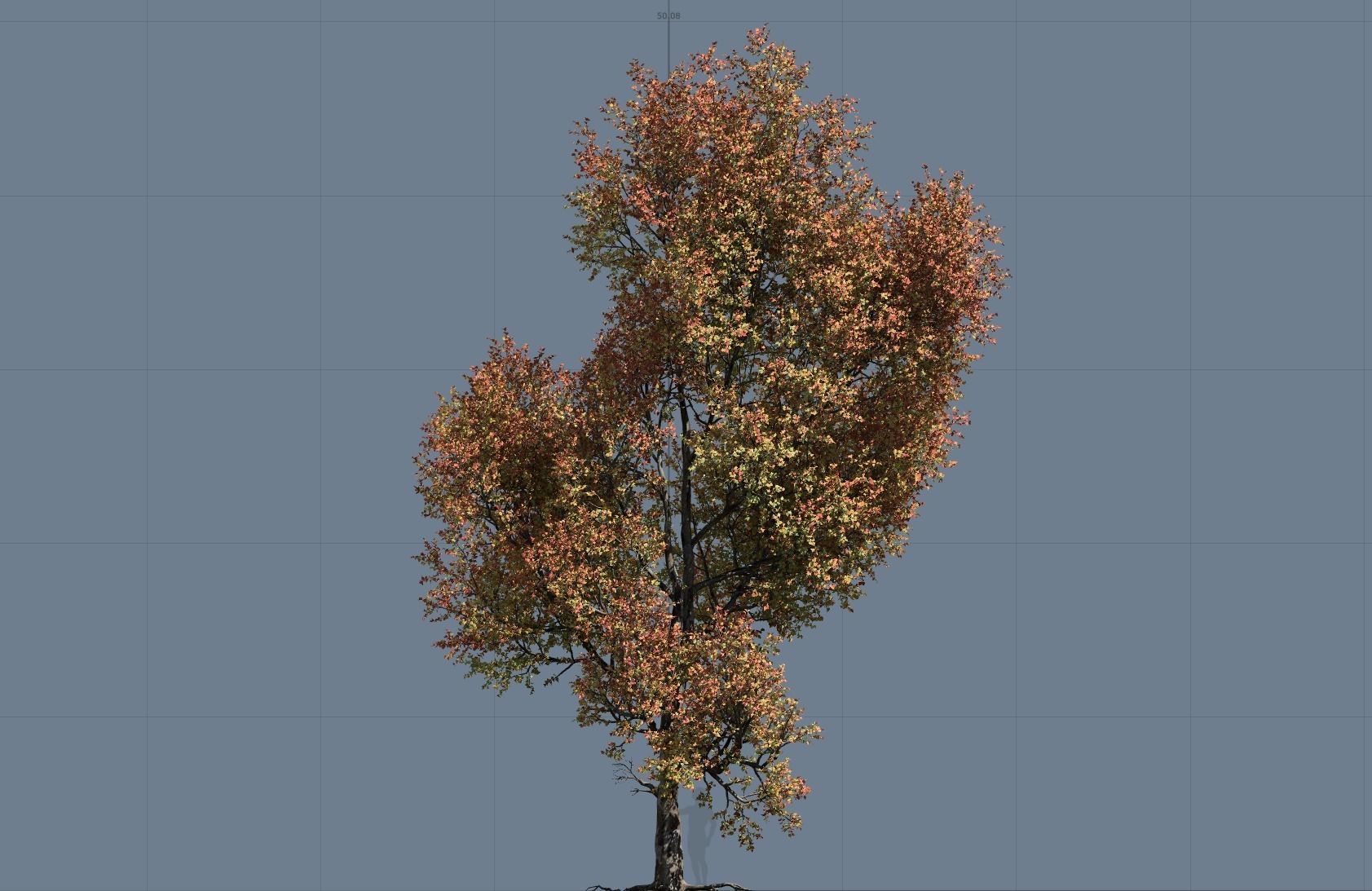 High quality Maple tree 02 3D model_6