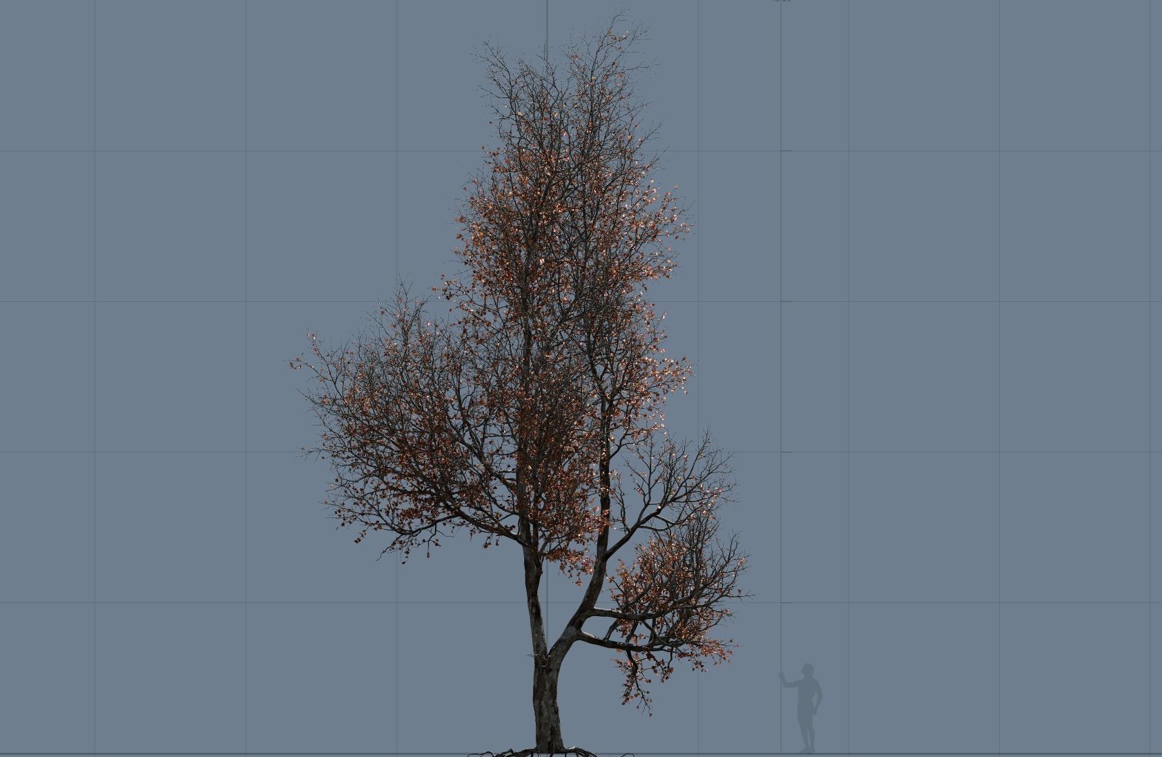High quality Maple tree 02 3D model_7