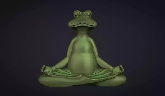Meditating Frog