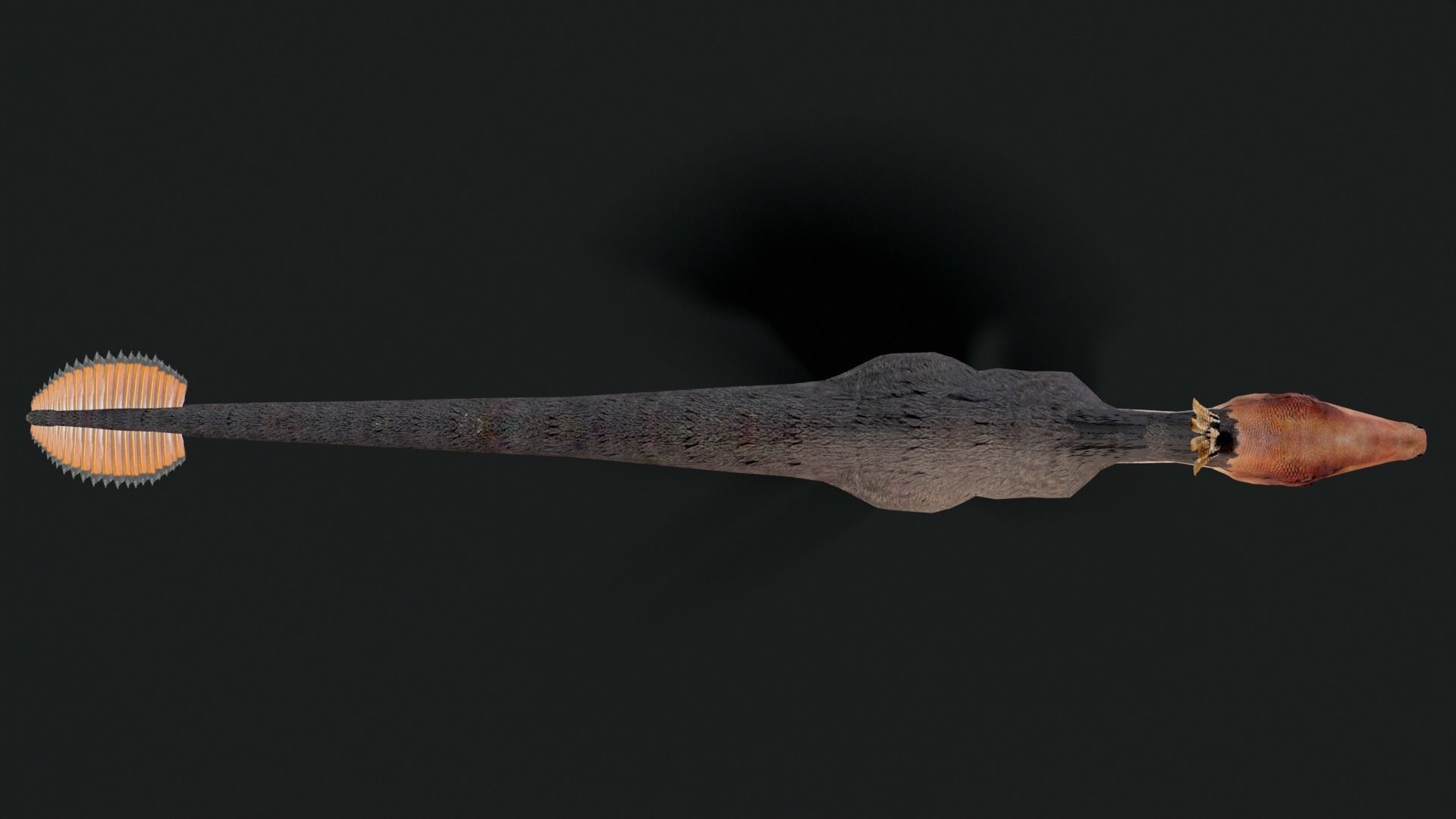 Velociraptor Dinosaur Animated Low Poly Low-poly 3D model_3