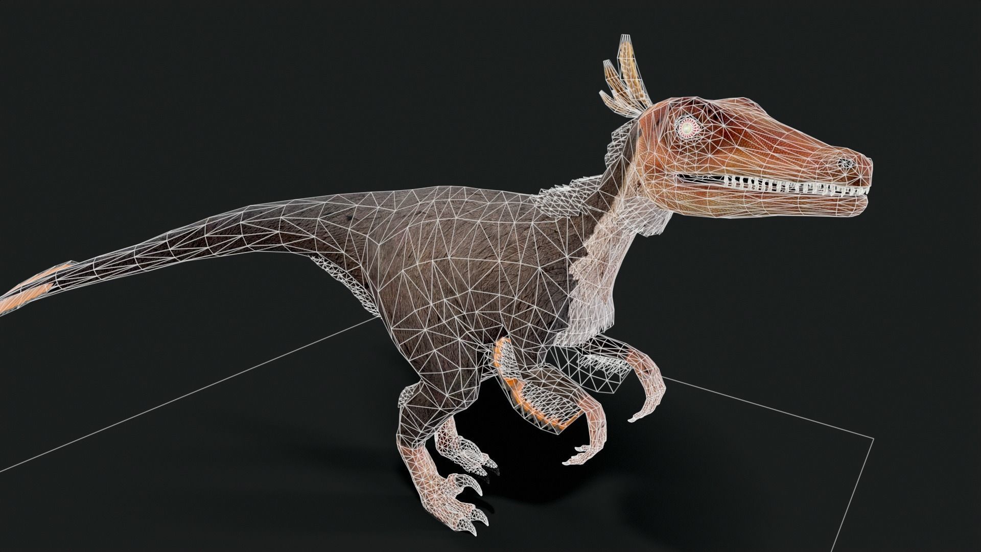 Velociraptor Dinosaur Animated Low Poly Low-poly 3D model_7