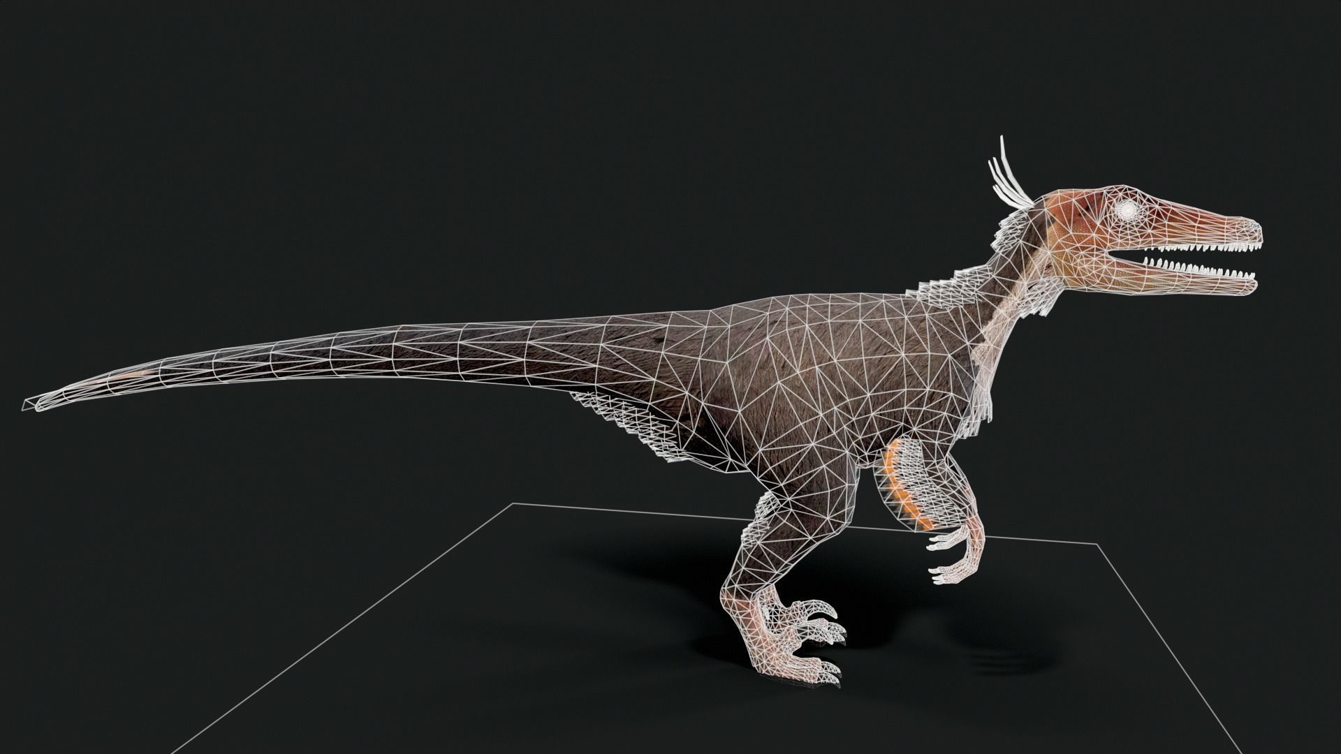 Velociraptor Dinosaur Animated Low Poly Low-poly 3D model_8