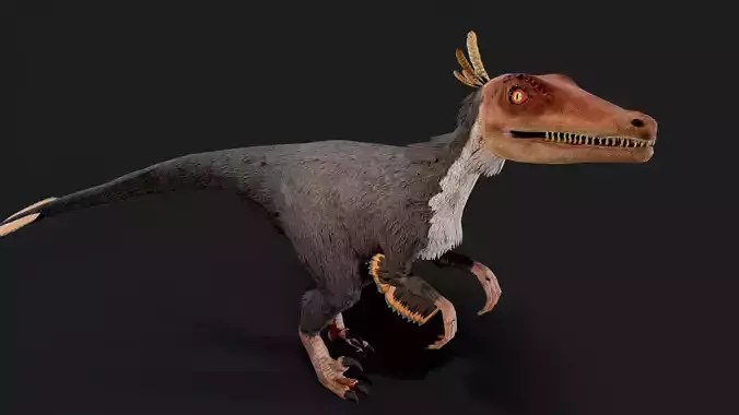 Velociraptor Dinosaur Animated Low Poly