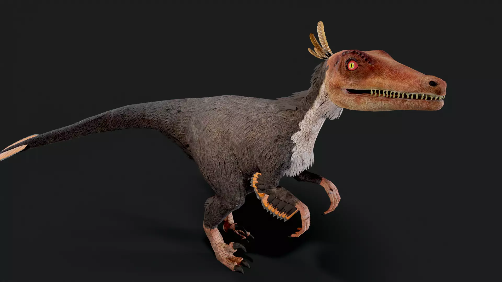 Velociraptor Dinosaur Animated Low Poly Low-poly 3D model_0