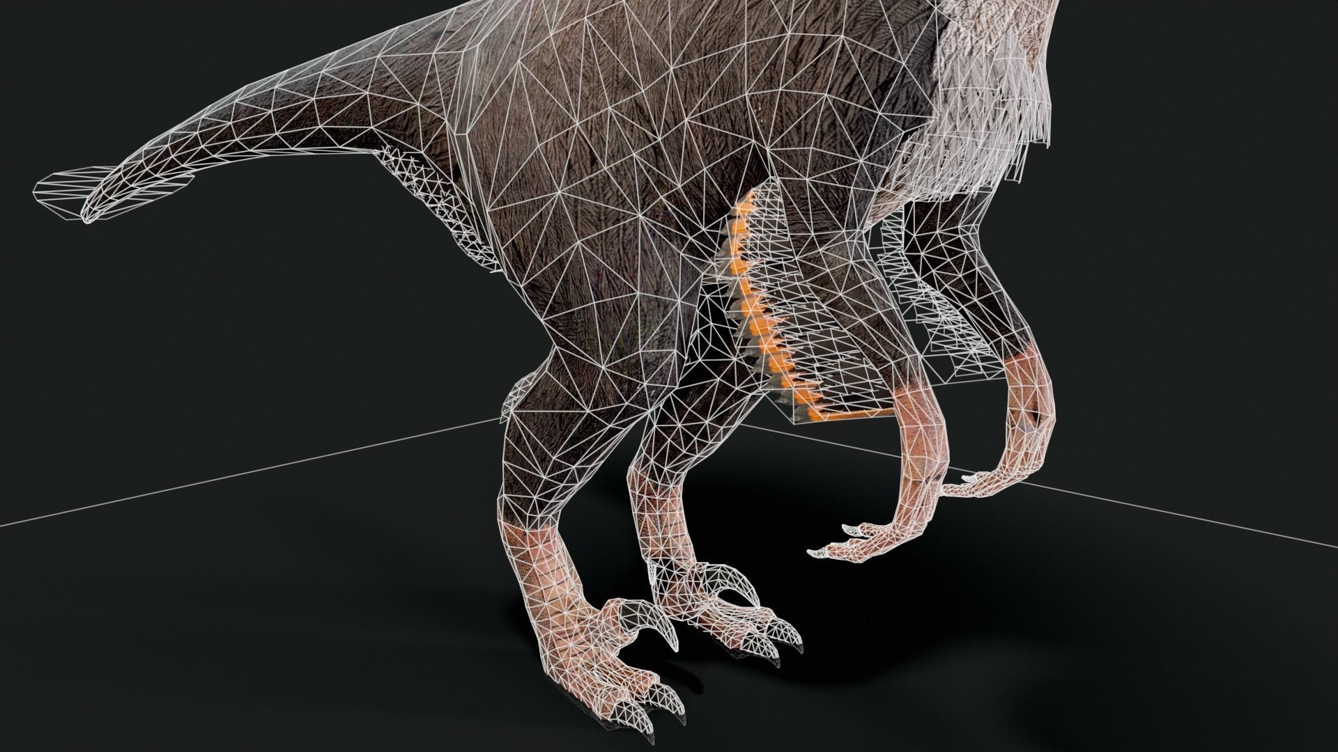 Velociraptor Dinosaur Animated Low Poly Low-poly 3D model_10