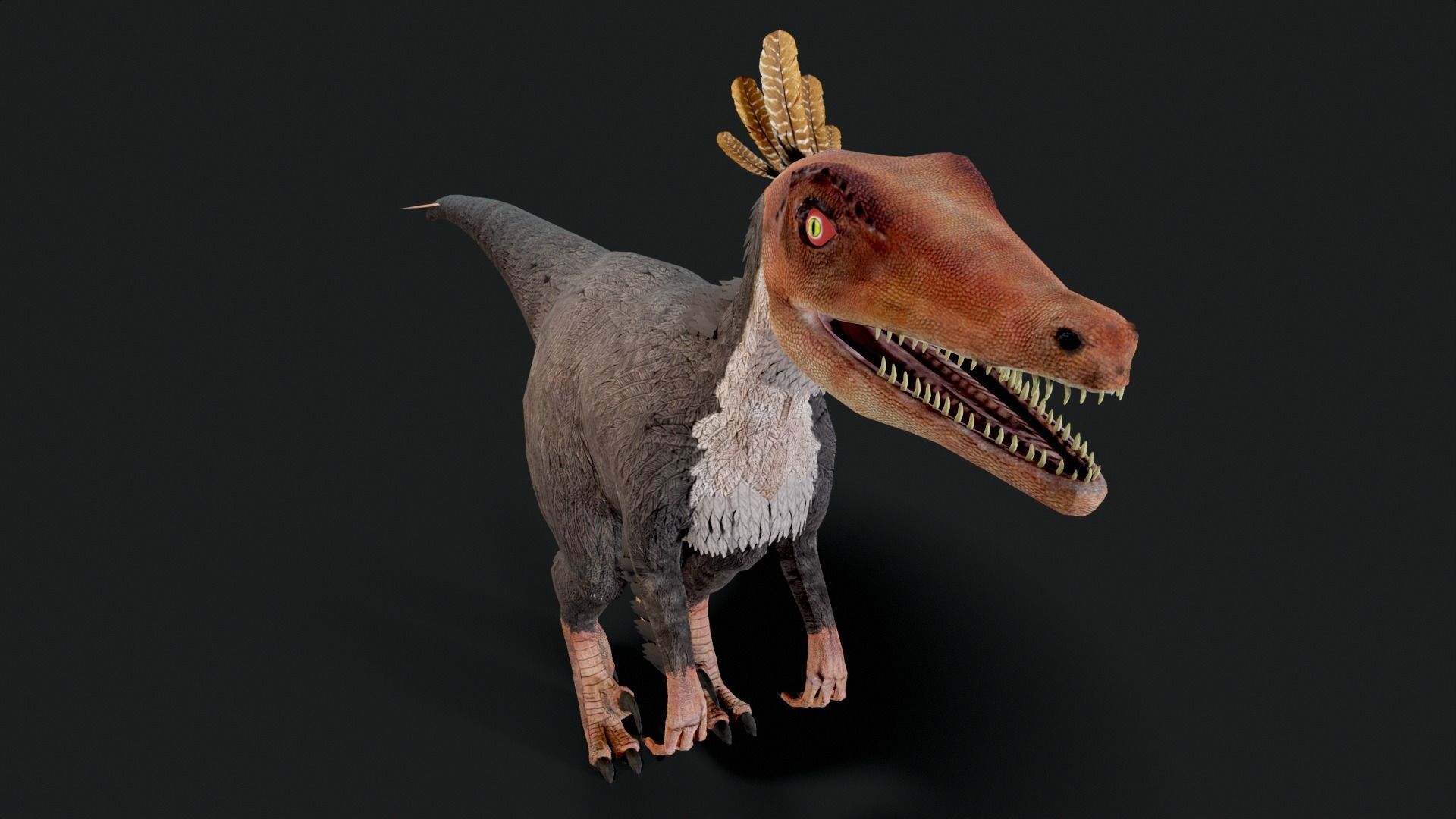 Velociraptor Dinosaur Animated Low Poly Low-poly 3D model_5
