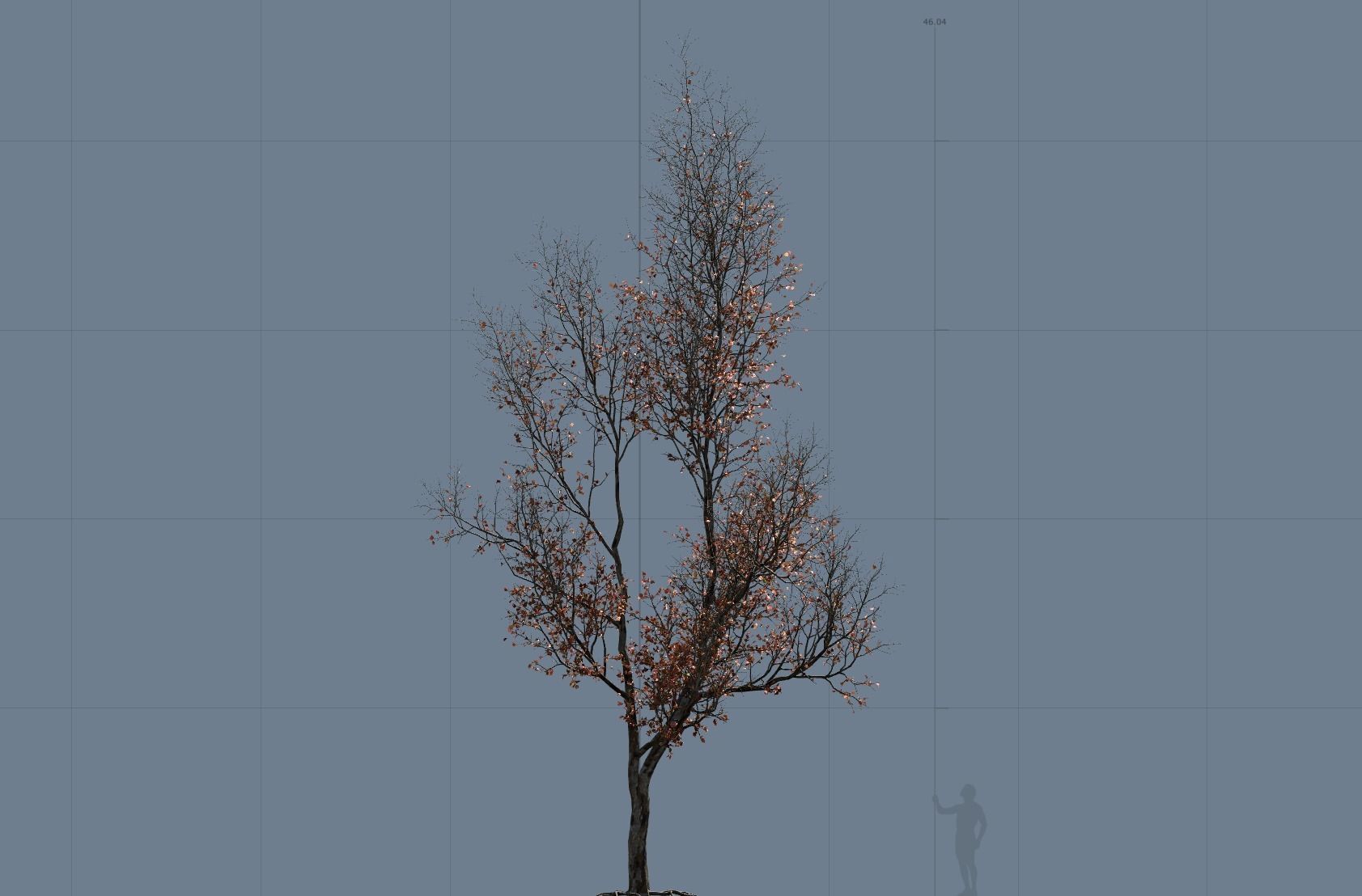 High quality Maple tree 03 3D model_7
