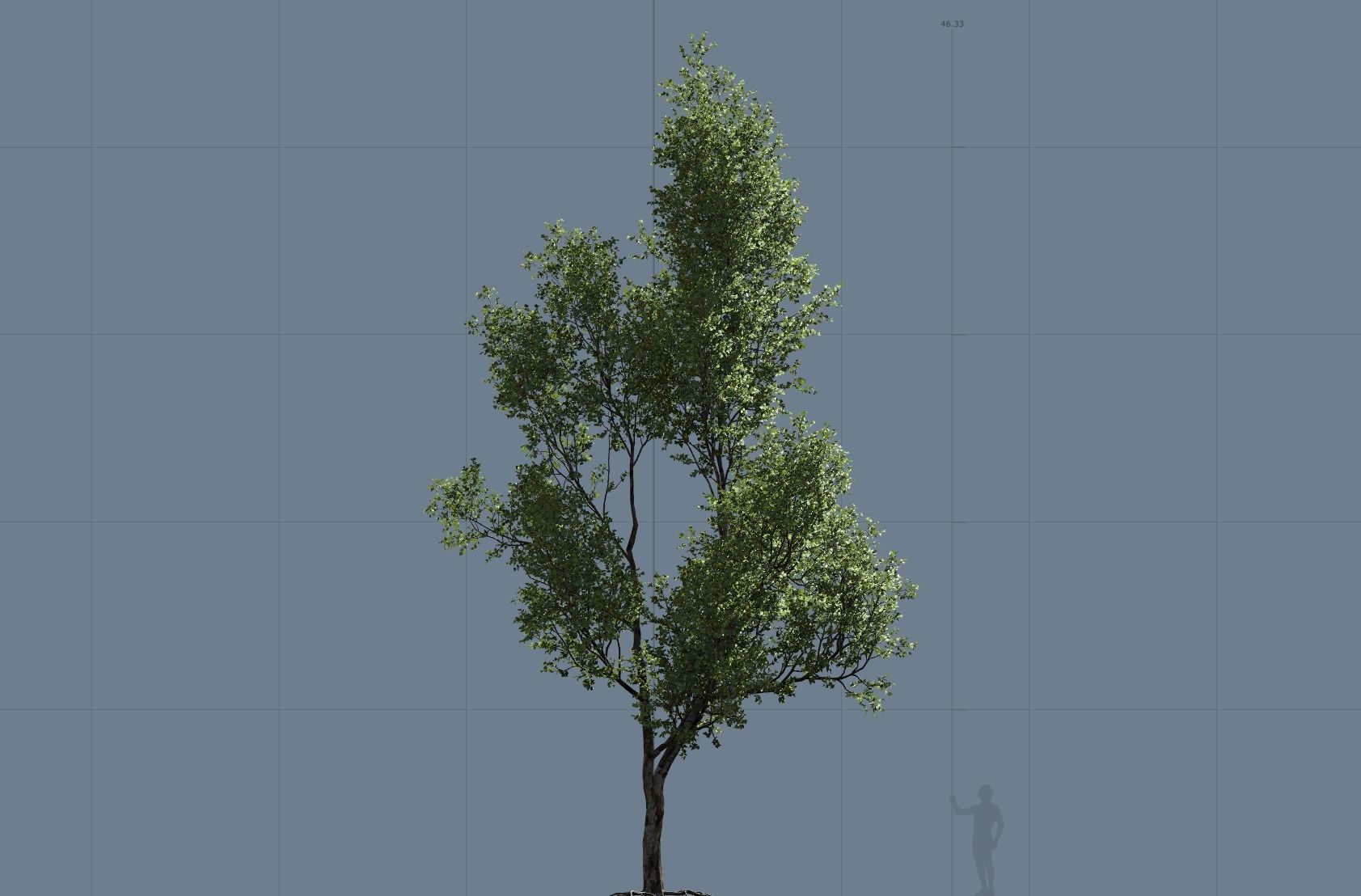 High quality Maple tree 03 3D model_5