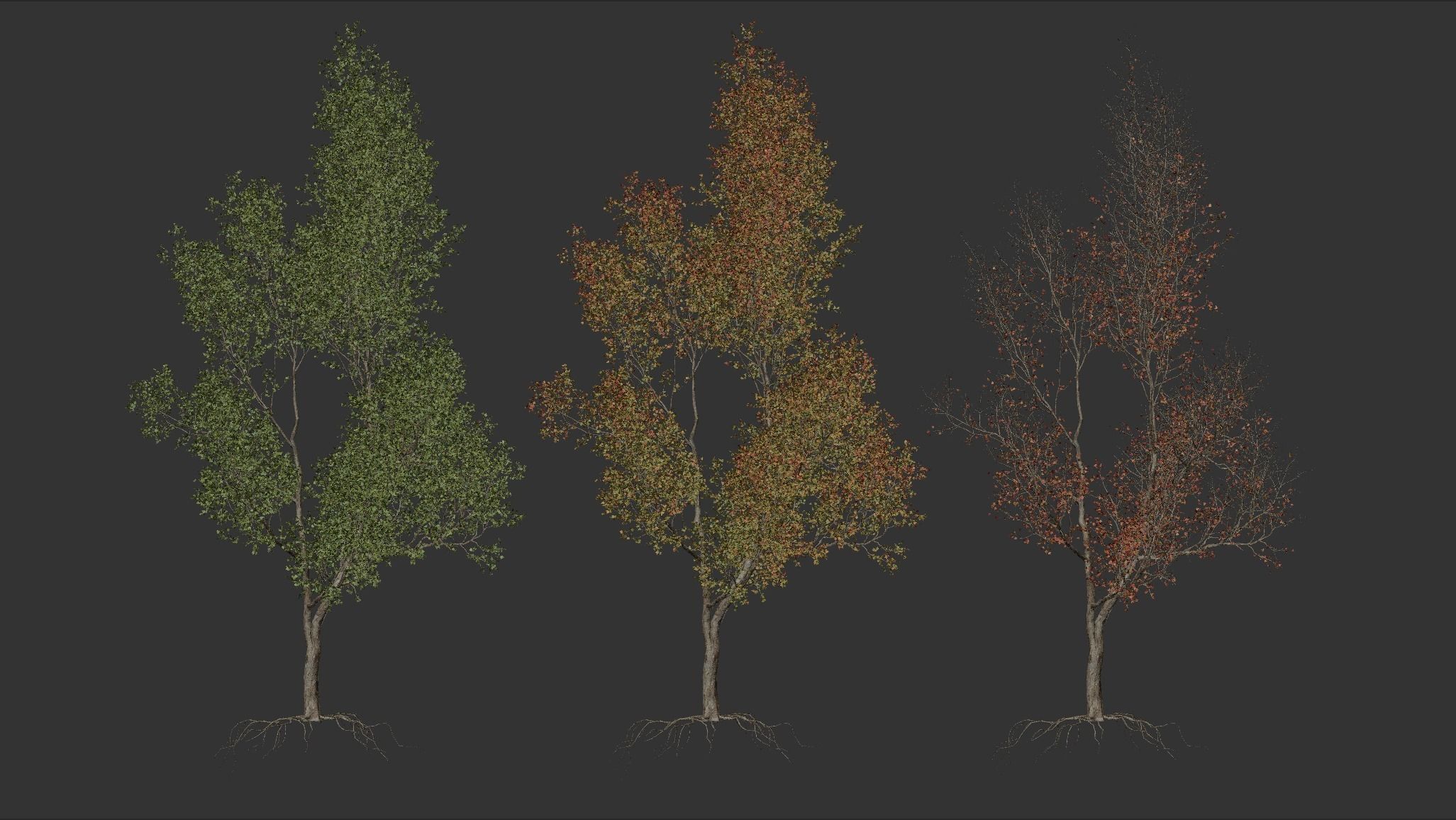 High quality Maple tree 03 3D model_2