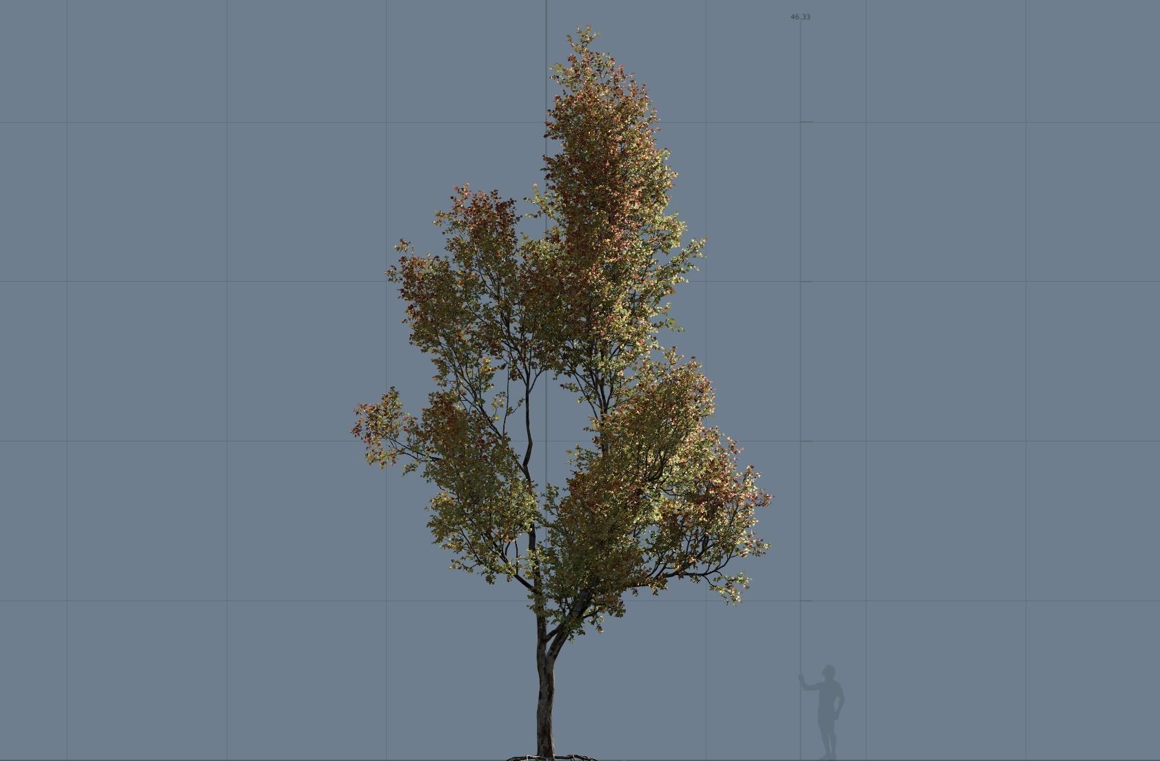 High quality Maple tree 03 3D model_6