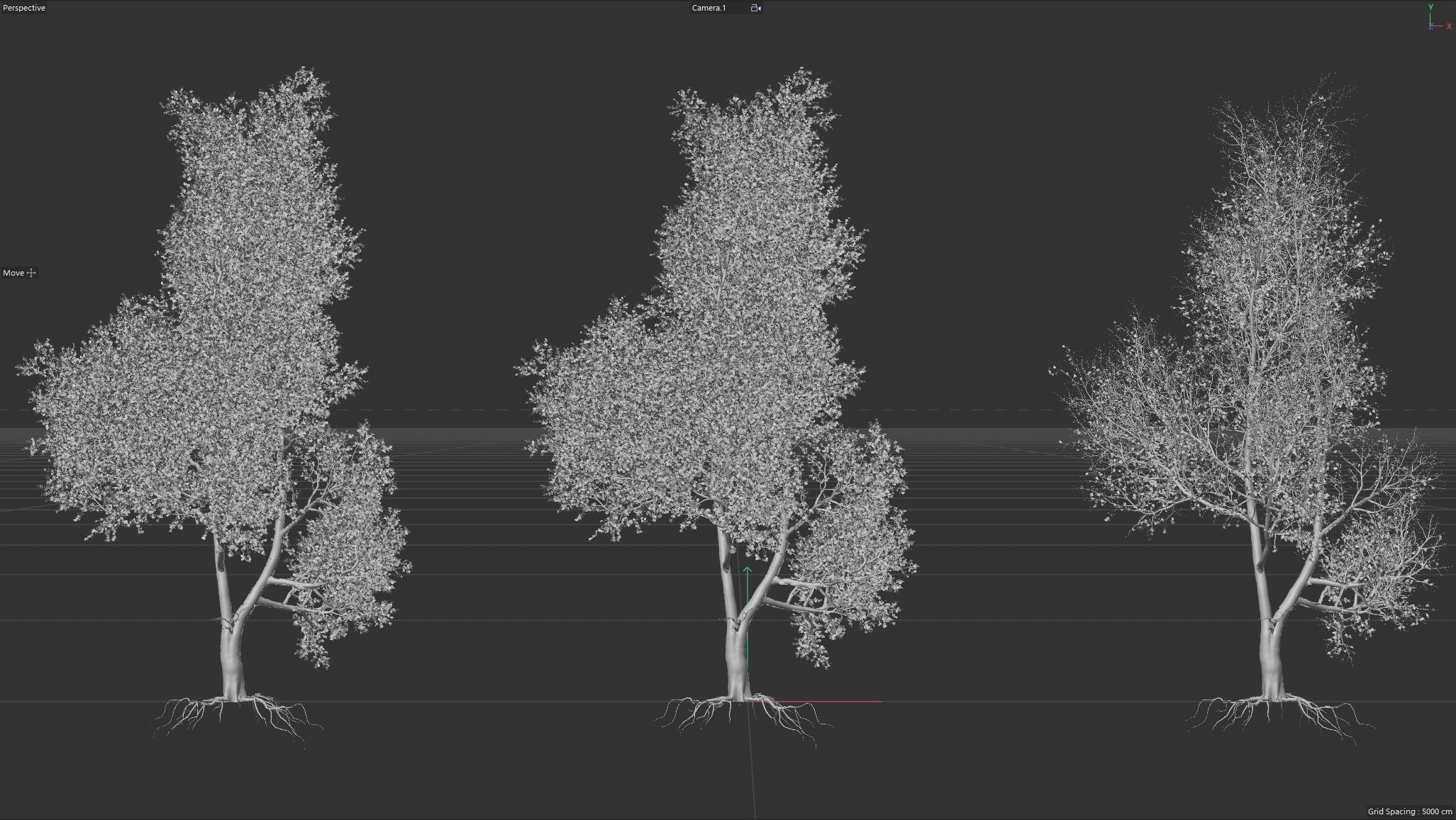 6 High quality Maple tree collection _5