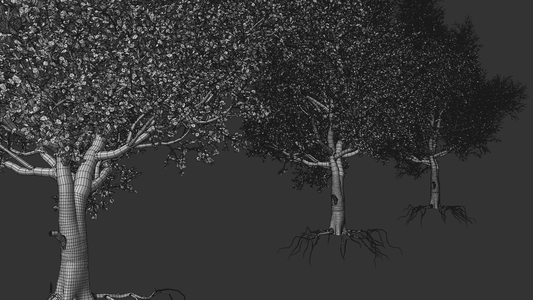 6 High quality Maple tree collection _11