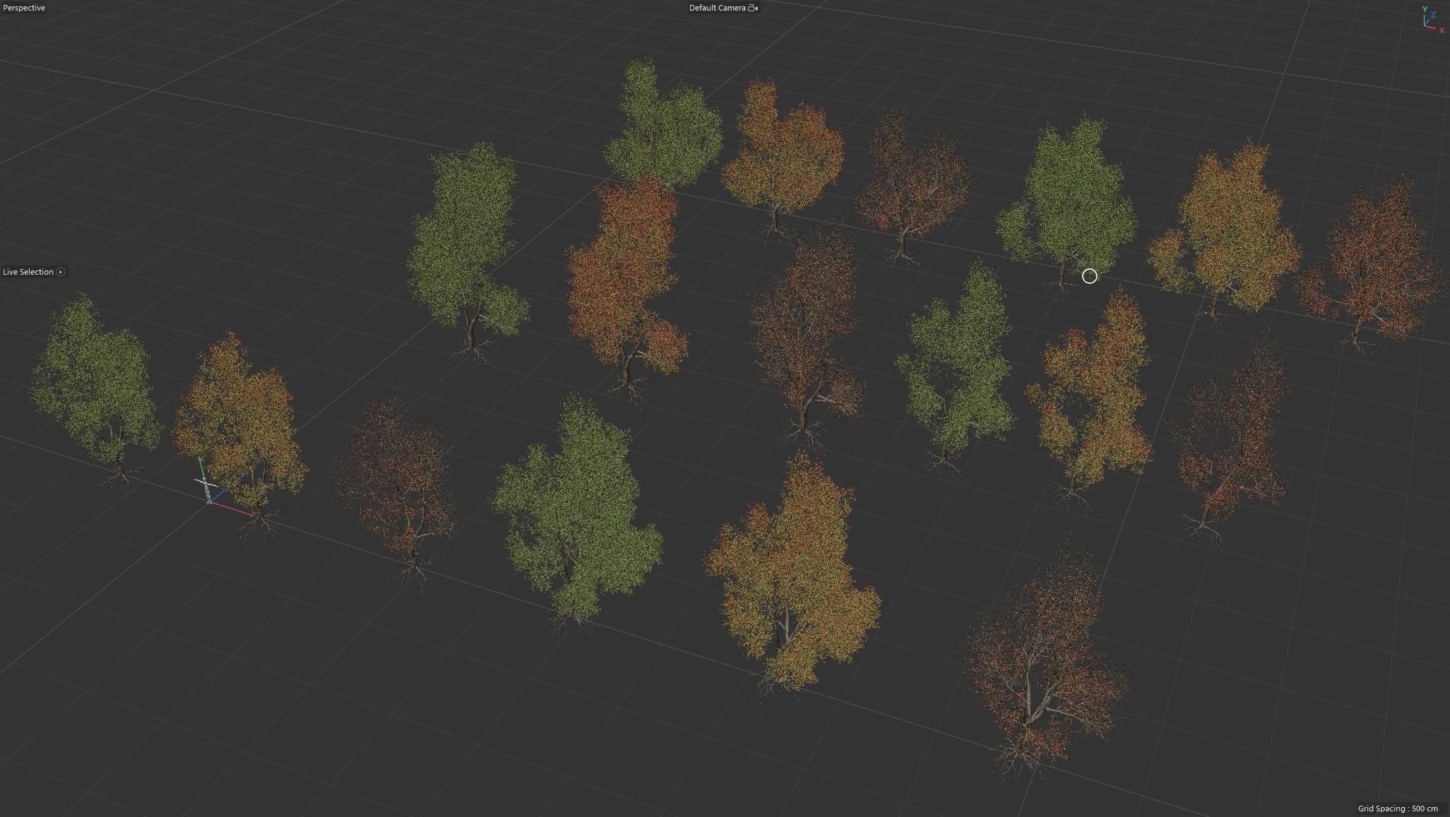 6 High quality Maple tree collection _9