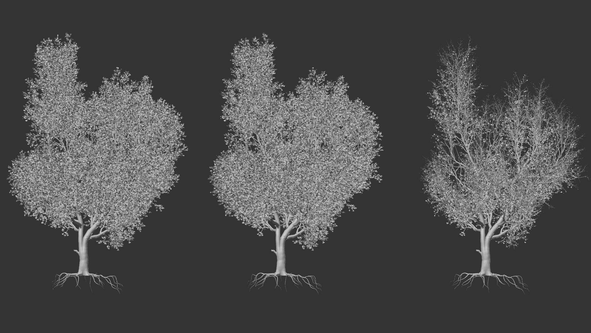 6 High quality Maple tree collection _7