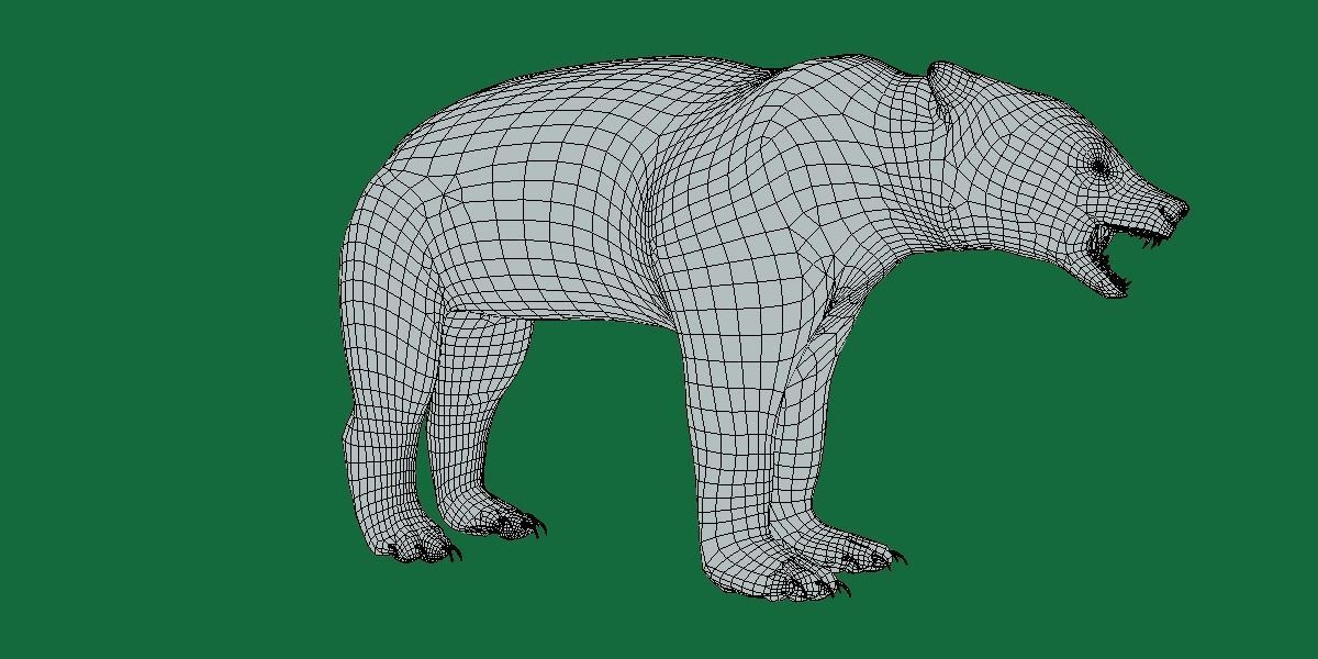 American Black Bear Low-poly 3D model_10