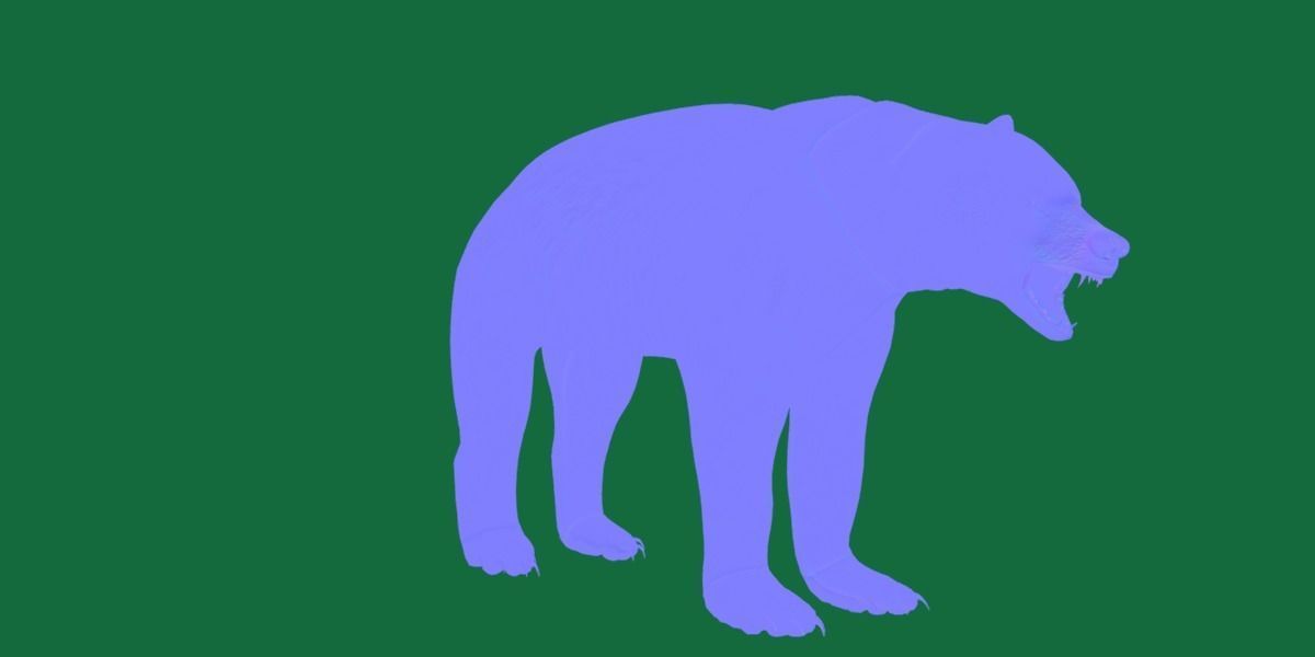 American Black Bear Low-poly 3D model_23