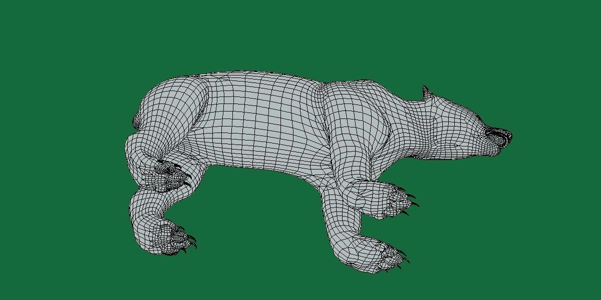 American Black Bear Low-poly 3D model_9