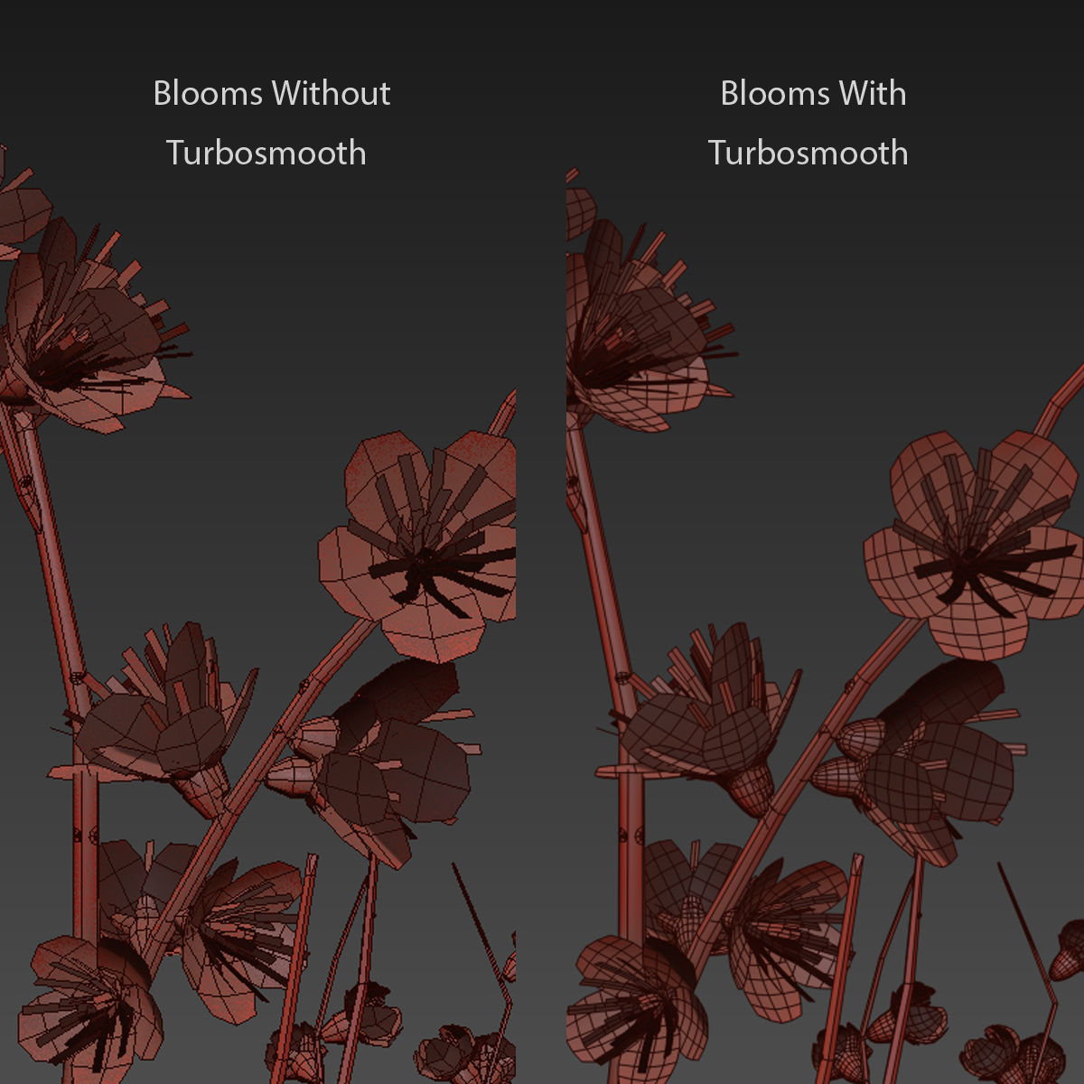 Flower In Vase   24 3D model_3