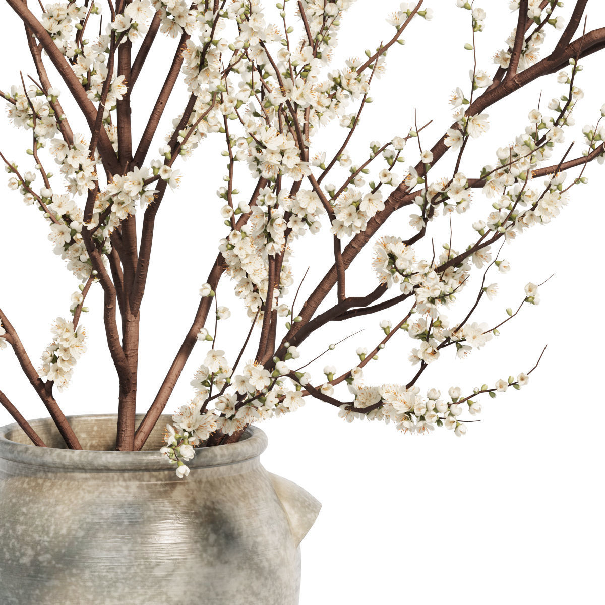 Flower In Vase   24 3D model_1