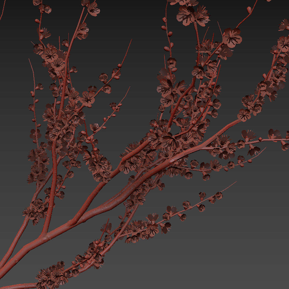 Flower In Vase   24 3D model_5