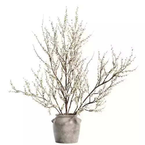 Flower In Vase   24 3D model