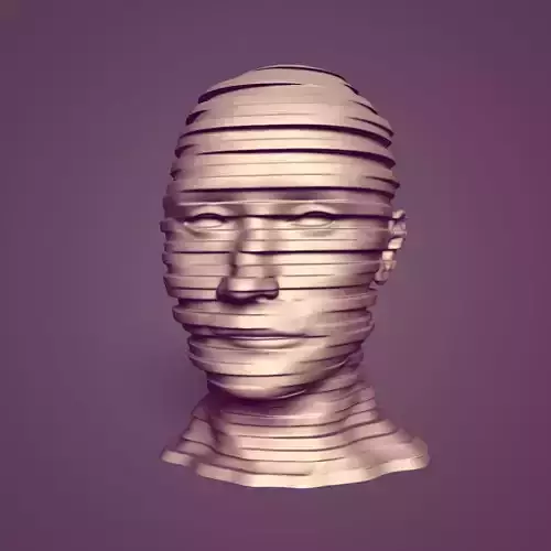Abstract Head - Bust -- Ready for 3D Printing